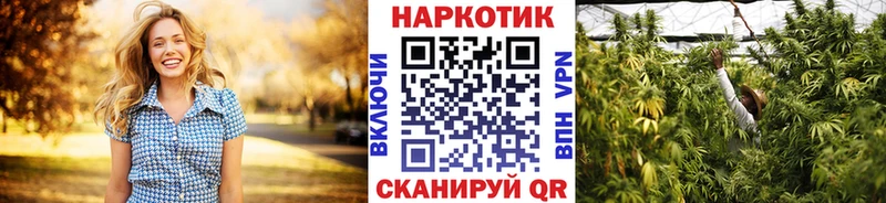 Виды наркотиков купить Ржев АМФЕТАМИН Марихуана Alpha PVP