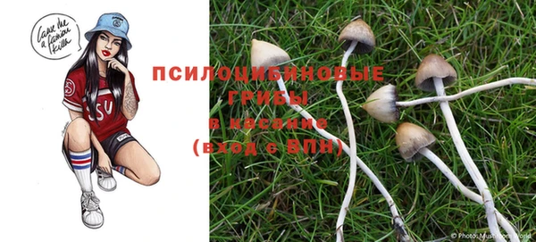стафф Абдулино