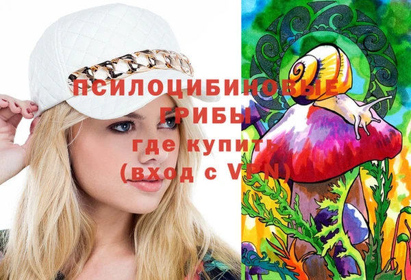 молекула духа Алзамай