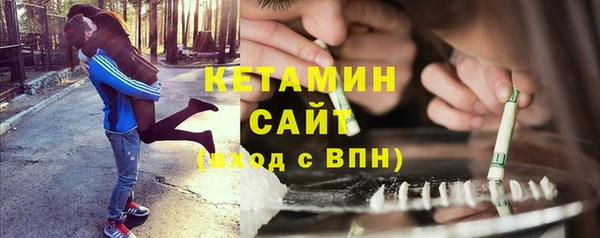крисы Алексин