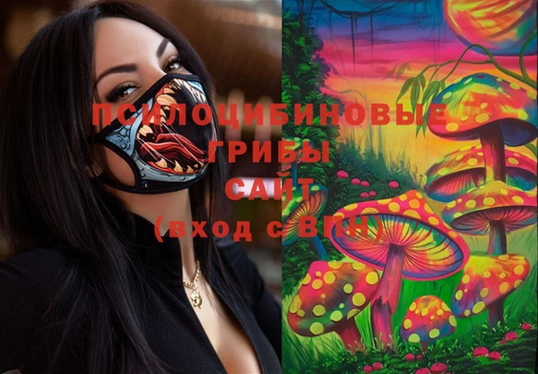 молекула духа Алзамай