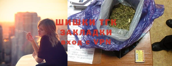 молекула духа Алзамай