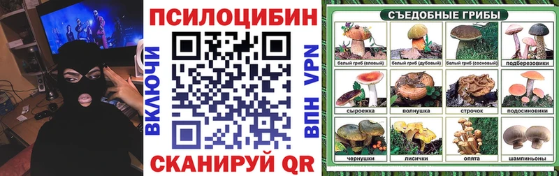 shop телеграм  Ржев  Псилоцибиновые грибы мухоморы  магазин продажи наркотиков 